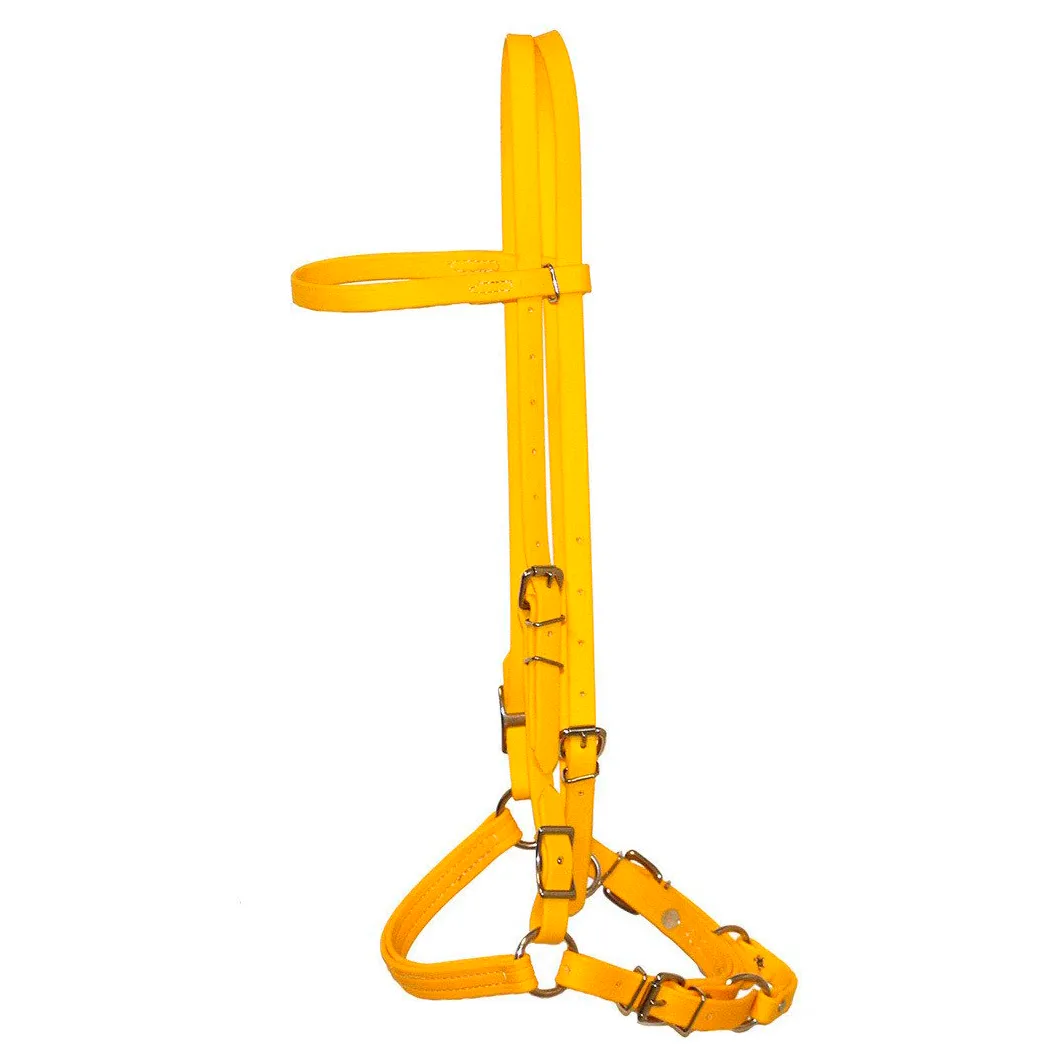 Biothane Bridles