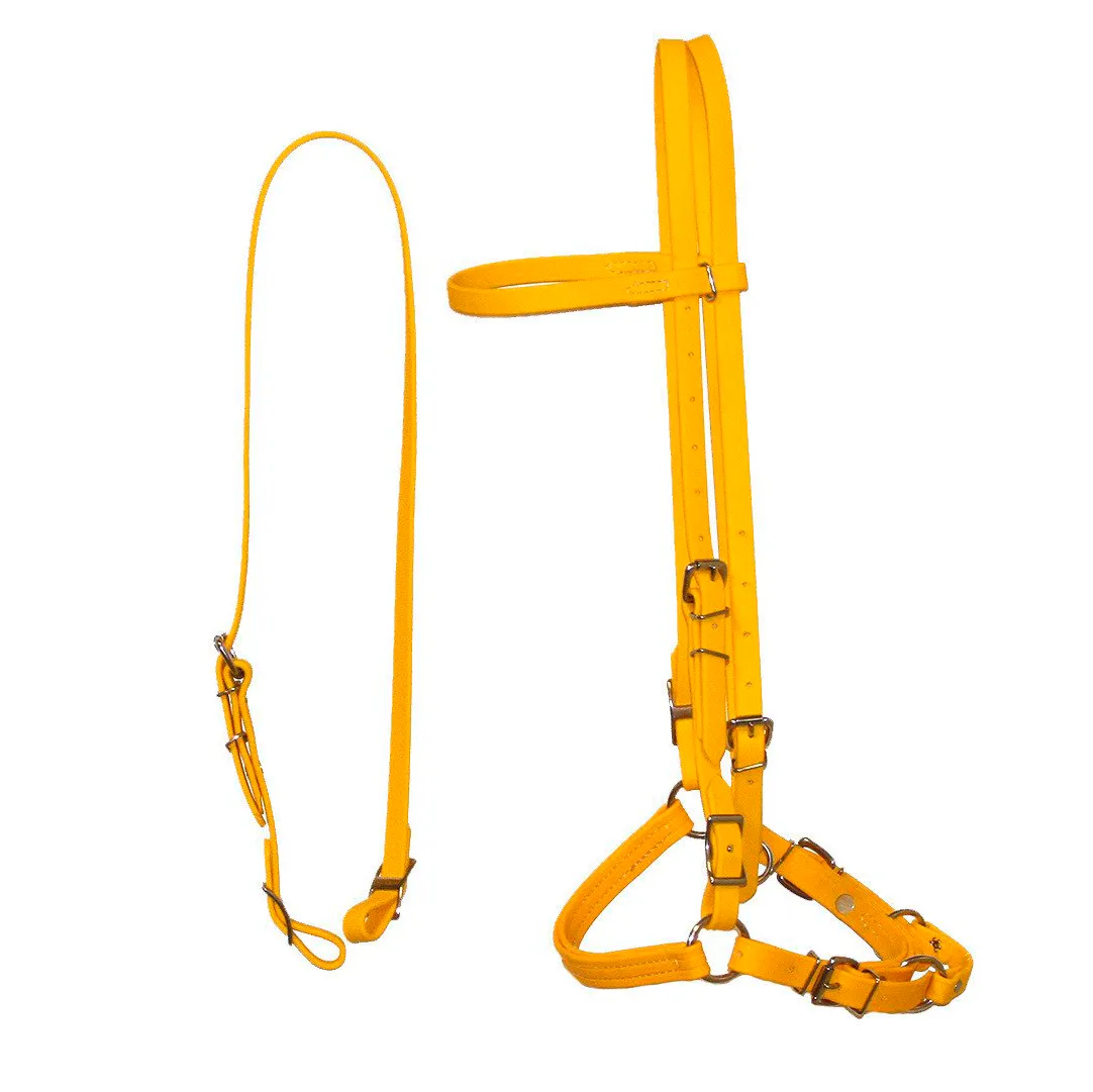 Biothane Bridles