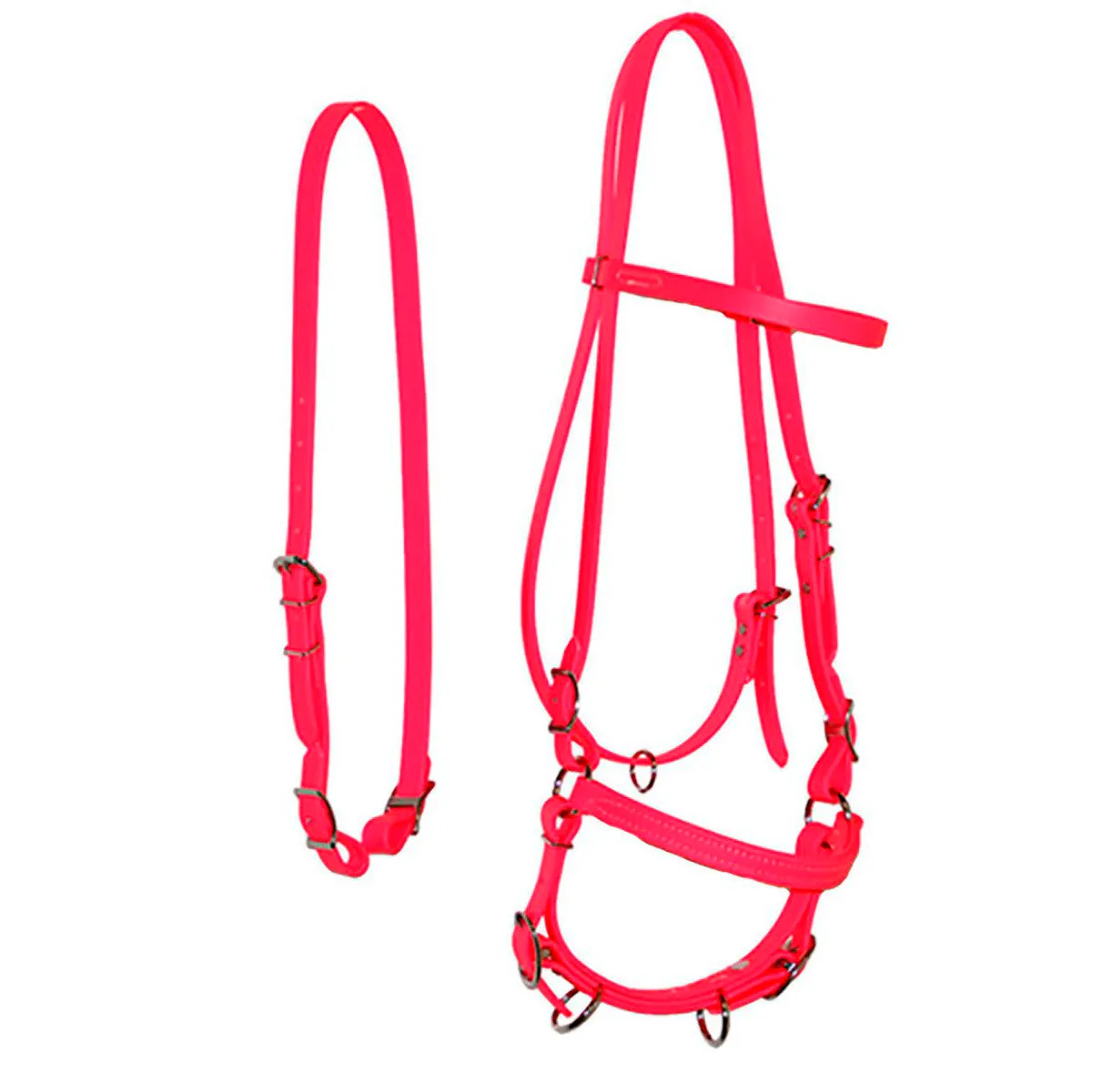 Biothane Bridles