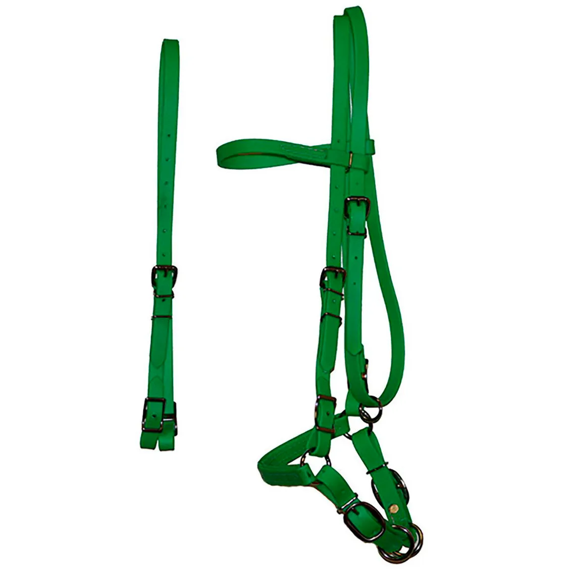 Biothane Bridles