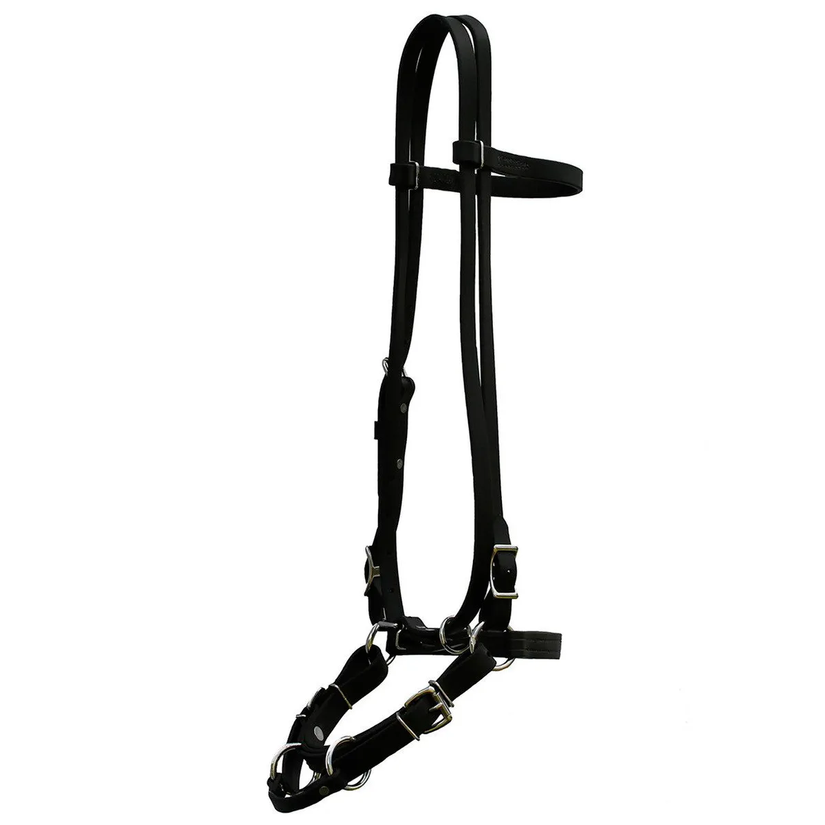 Biothane Bridles