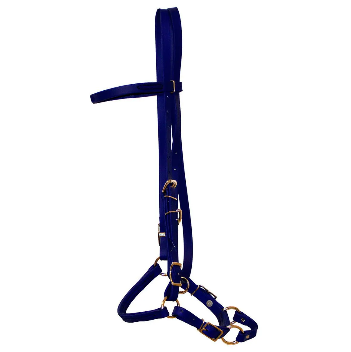 Biothane Bridles