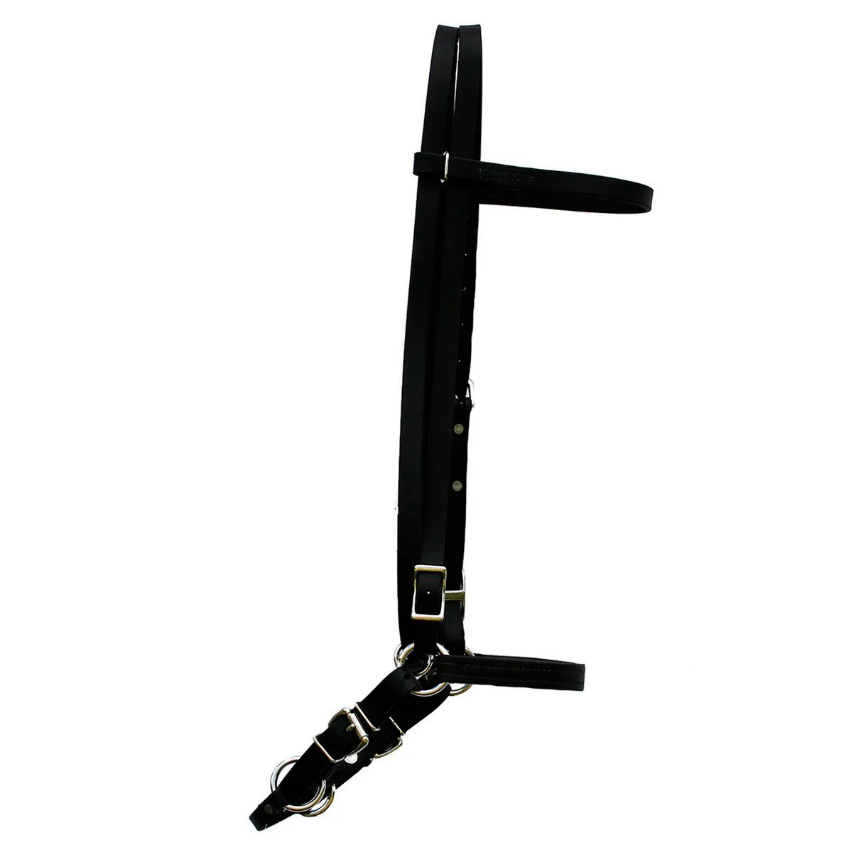 Biothane Bridles