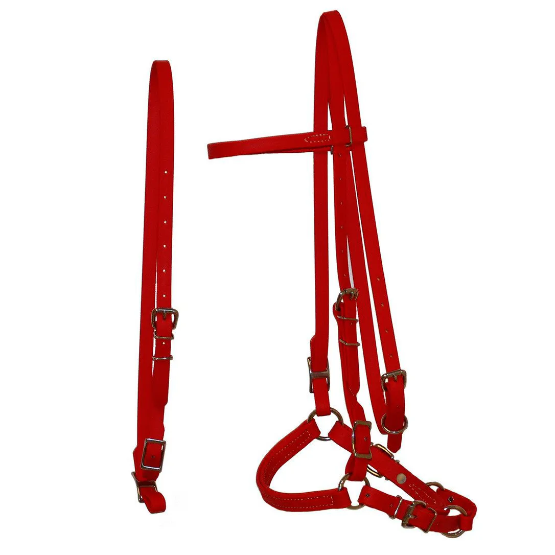 Biothane Bridles