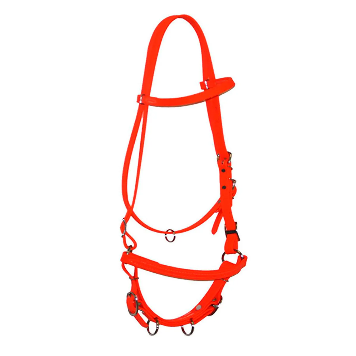 Biothane Bridles
