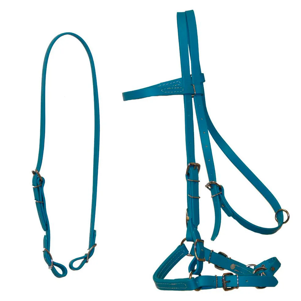 Biothane Bridles