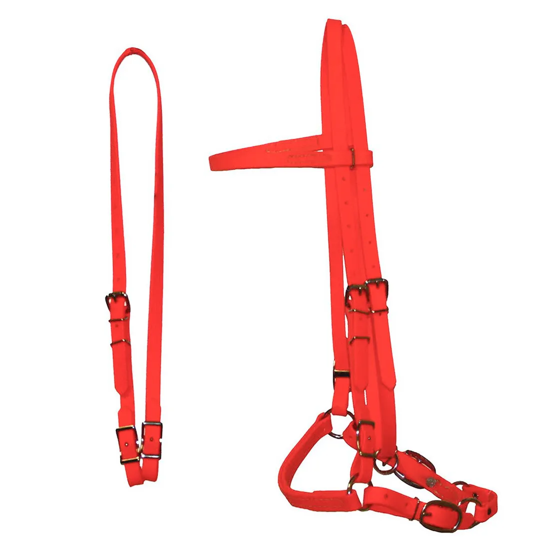 Biothane Bridles