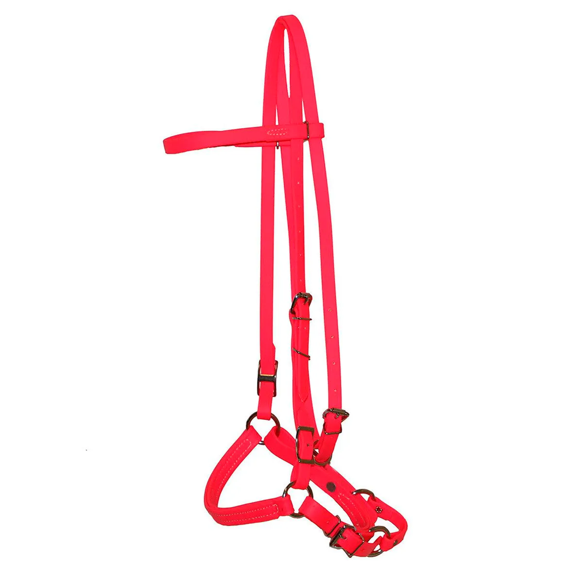 Biothane Bridles
