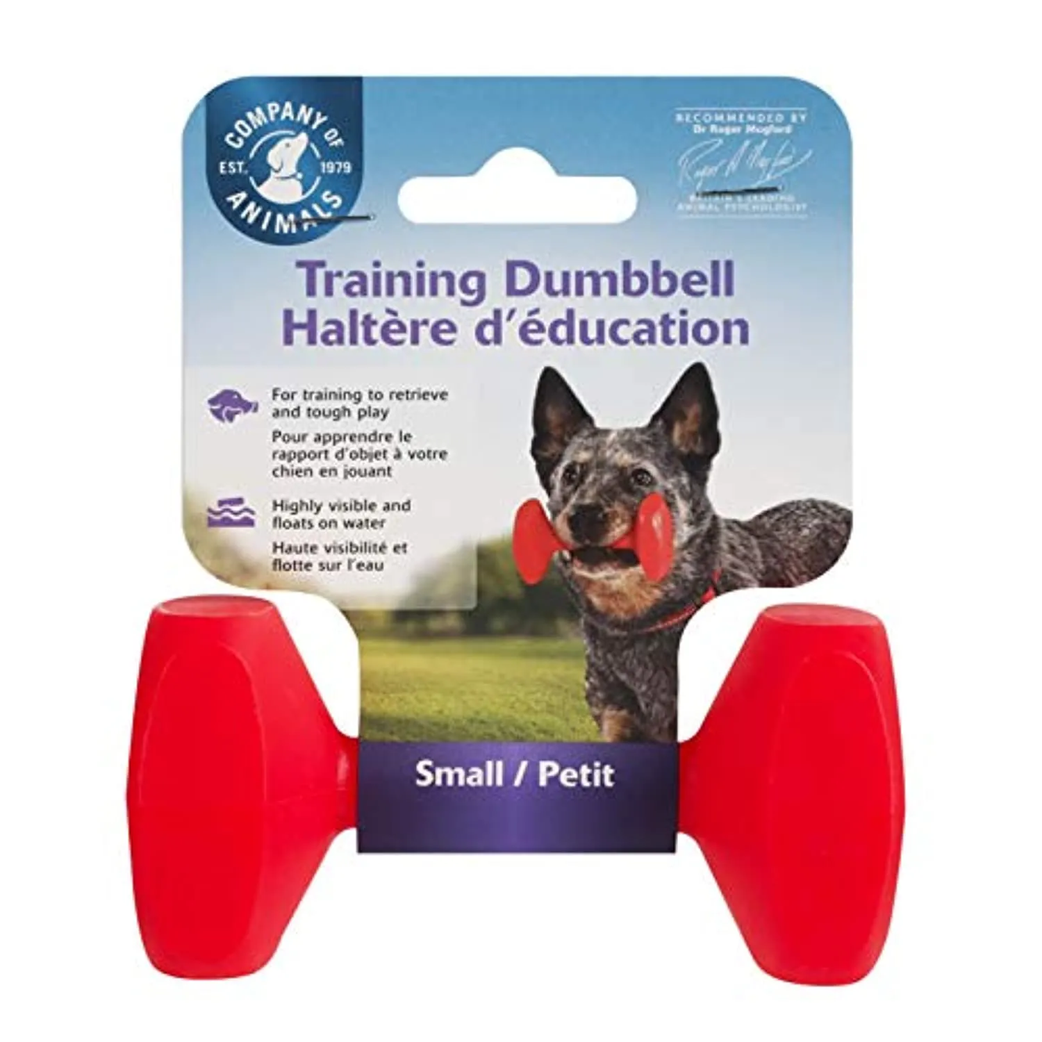 COA Training Dumbbell