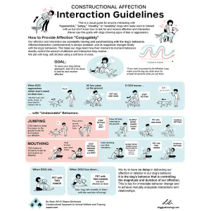 Constructional Affection Interaction Guidelines