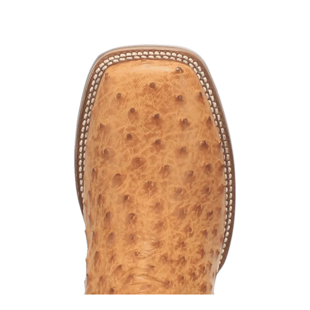 Dan Post Kershaw Saddle Ostrich Boot