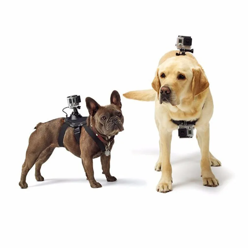 Dog/Cat Harness Chest Strap Belt Mount With Screw for GoPro Hero 4/3 /3/2/1 New