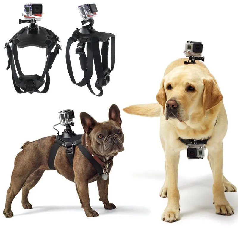 Dog/Cat Harness Chest Strap Belt Mount With Screw for GoPro Hero 4/3 /3/2/1 New