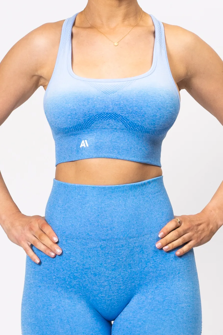 Ella Ombre Sports Bra Blue