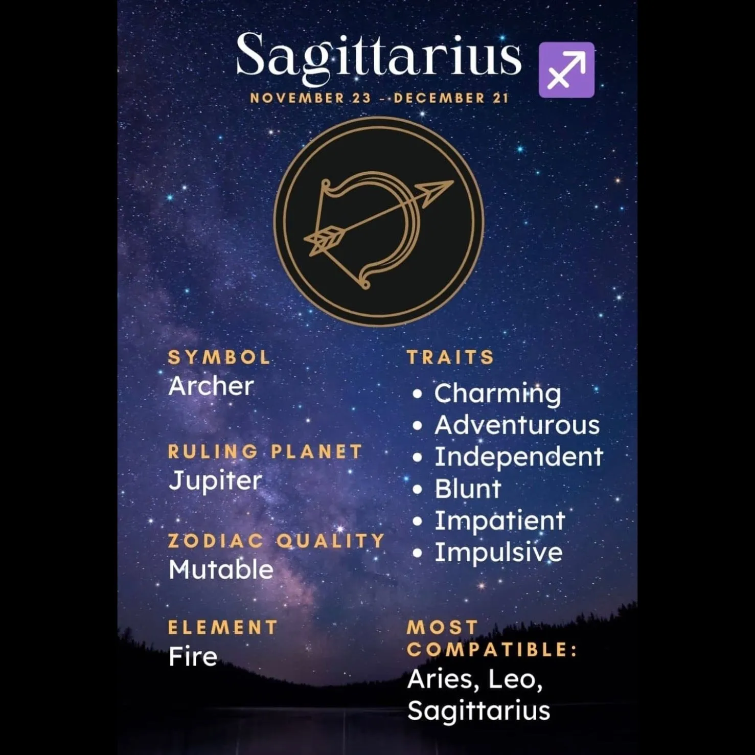 Fallon Aurielle Unisex Signature Sagittarius Logo & Name Zodiac T-Shirt (Turquoise & Pink Sparkle)