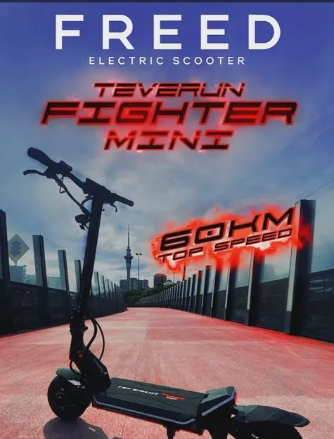 Fighter Mini - 20.8 ah