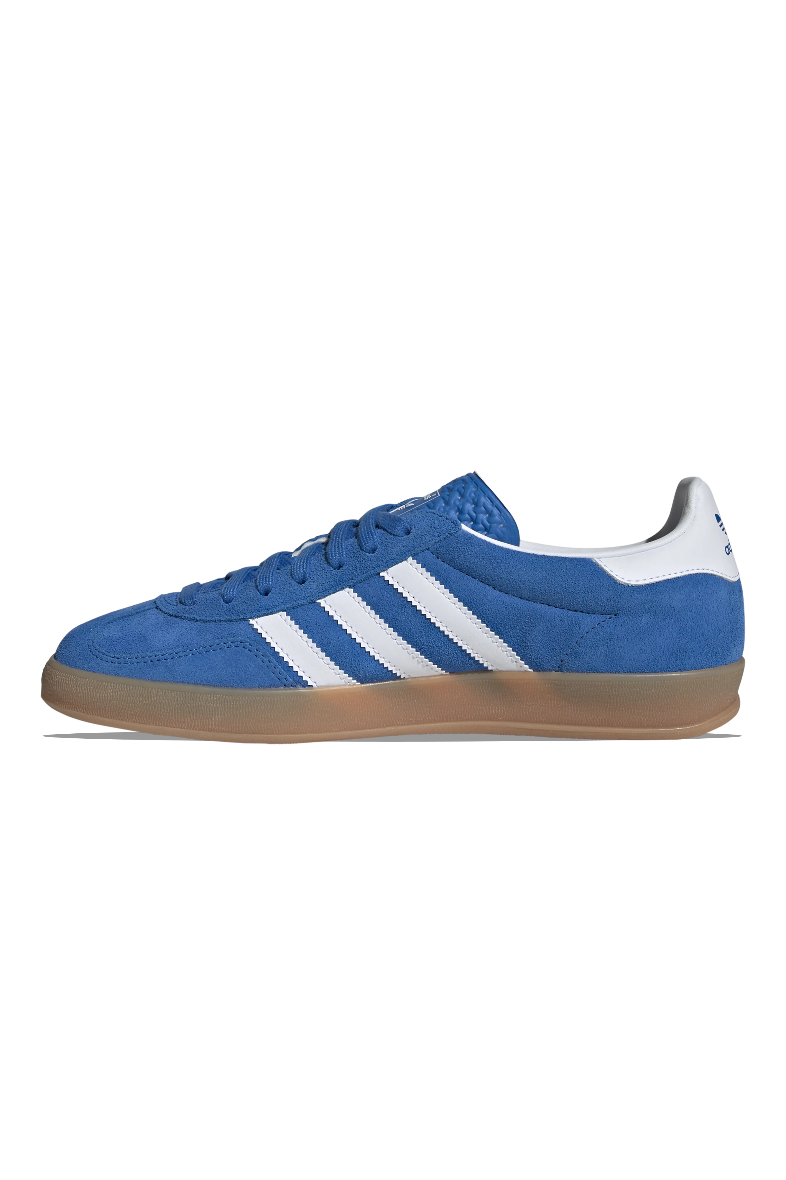 Gazelle Indoor