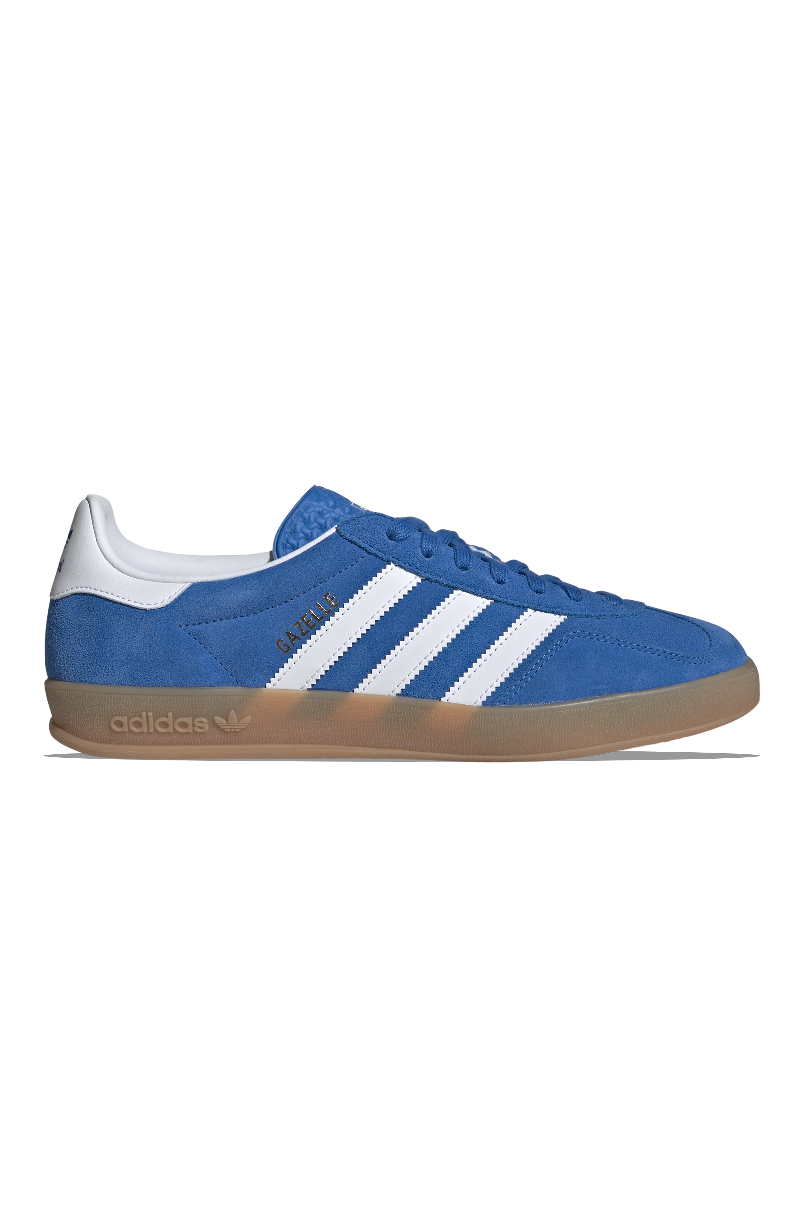 Gazelle Indoor