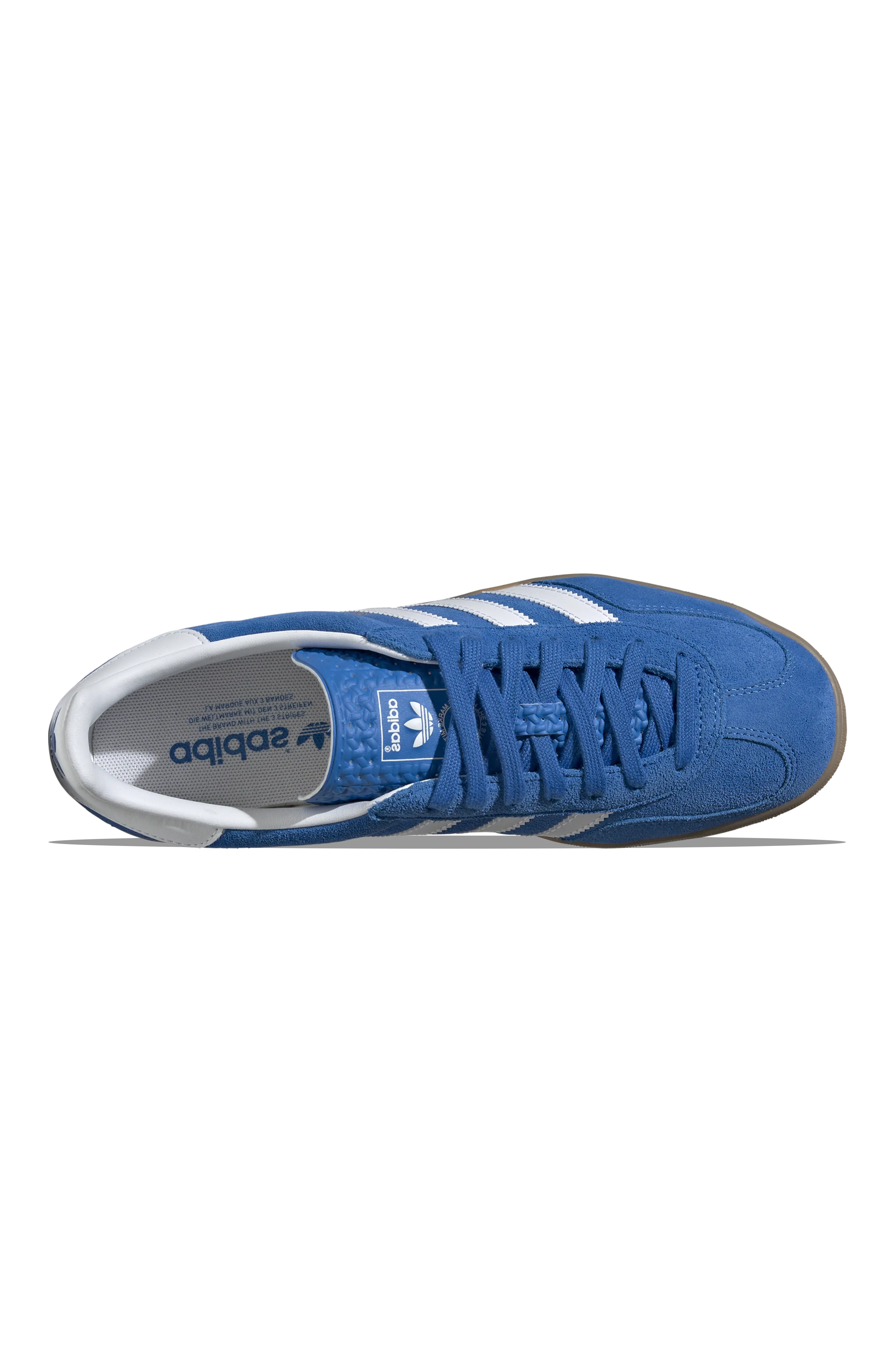 Gazelle Indoor