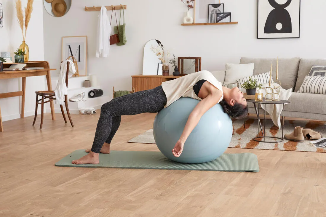 Gym Ball with Pump Included for Quick Inflation/Deflation Size 2/65 cm