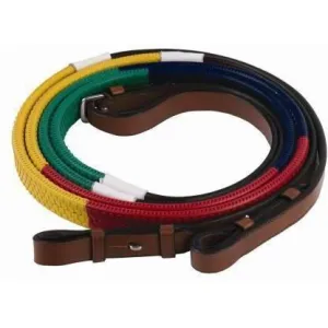 Henri de Rivel Training Reins