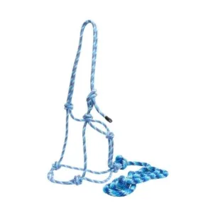 Horsemanship Halter and Lead Set (RAN5320)
