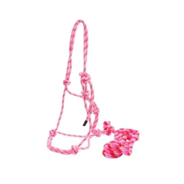 Horsemanship Halter and Lead Set (RAN5320)