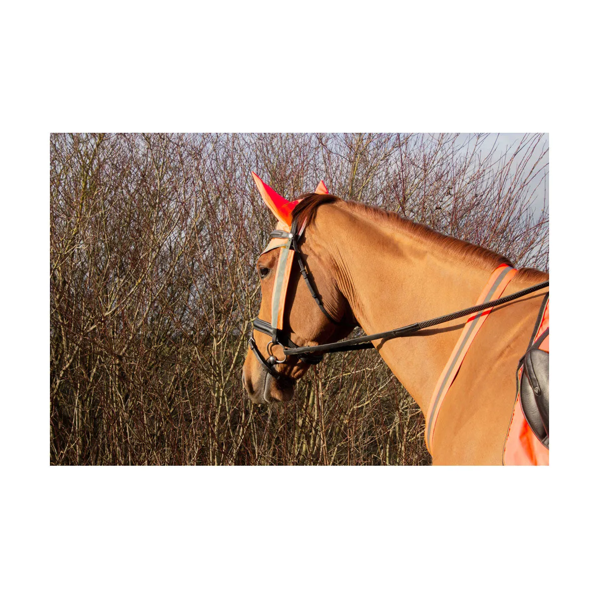 Hy Equestrian Reflector Martingale By Hy Equestrian