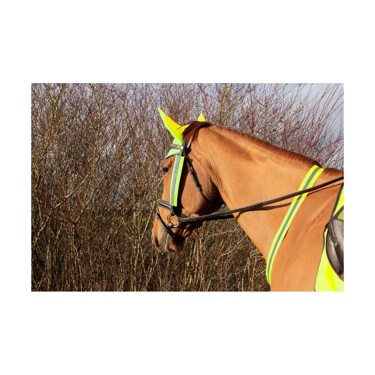 Hy Equestrian Reflector Martingale By Hy Equestrian