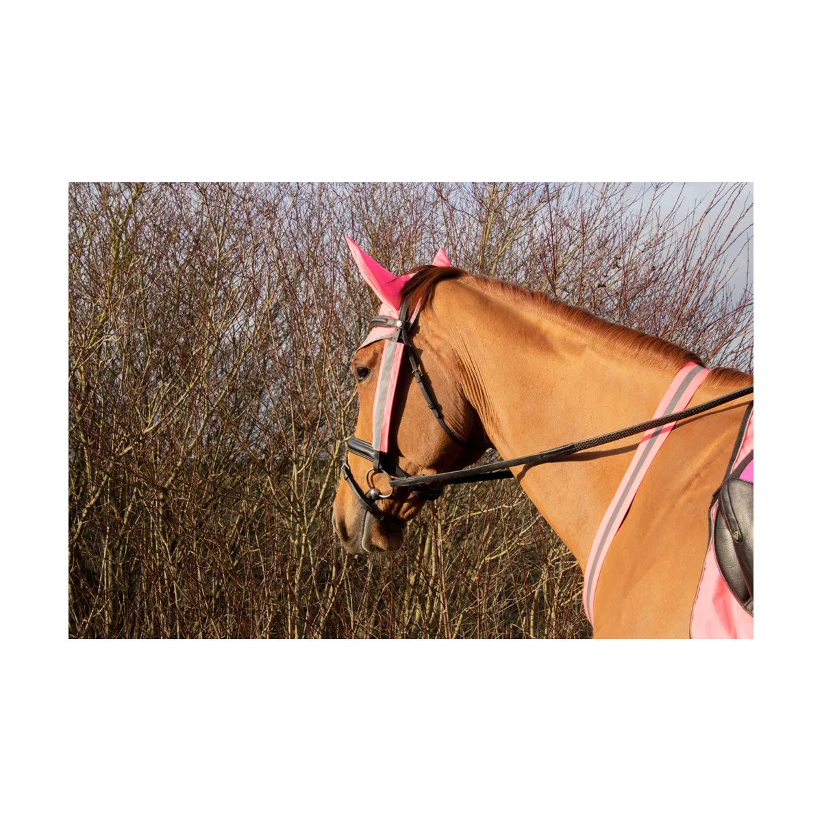 Hy Equestrian Reflector Martingale By Hy Equestrian