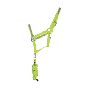 HyVIZ Reflector Head Collar and Lead Rope