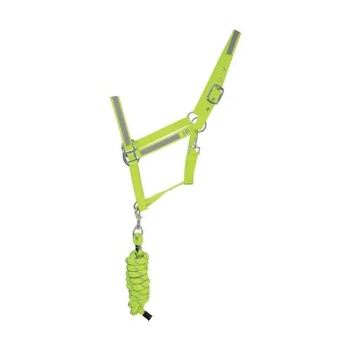 HyVIZ Reflector Head Collar and Lead Rope