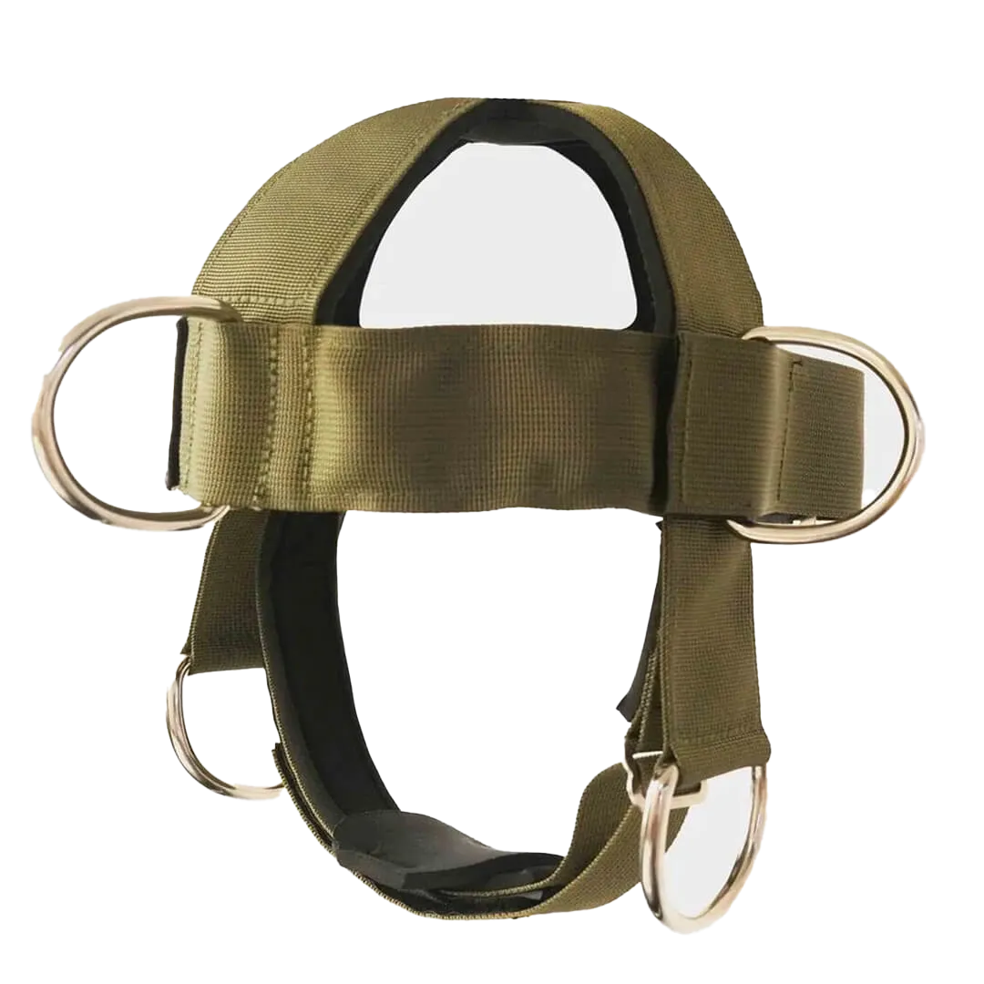 Iron Neck Alpha Harness