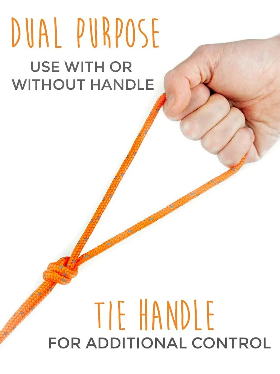 Mighty Paw - 30' Check Cord