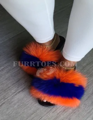 ORANGE MEDLEY