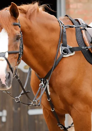 PE Sport Invorio 5 Point Breastplate
