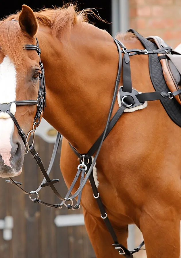 PE Sport Invorio 5 Point Breastplate