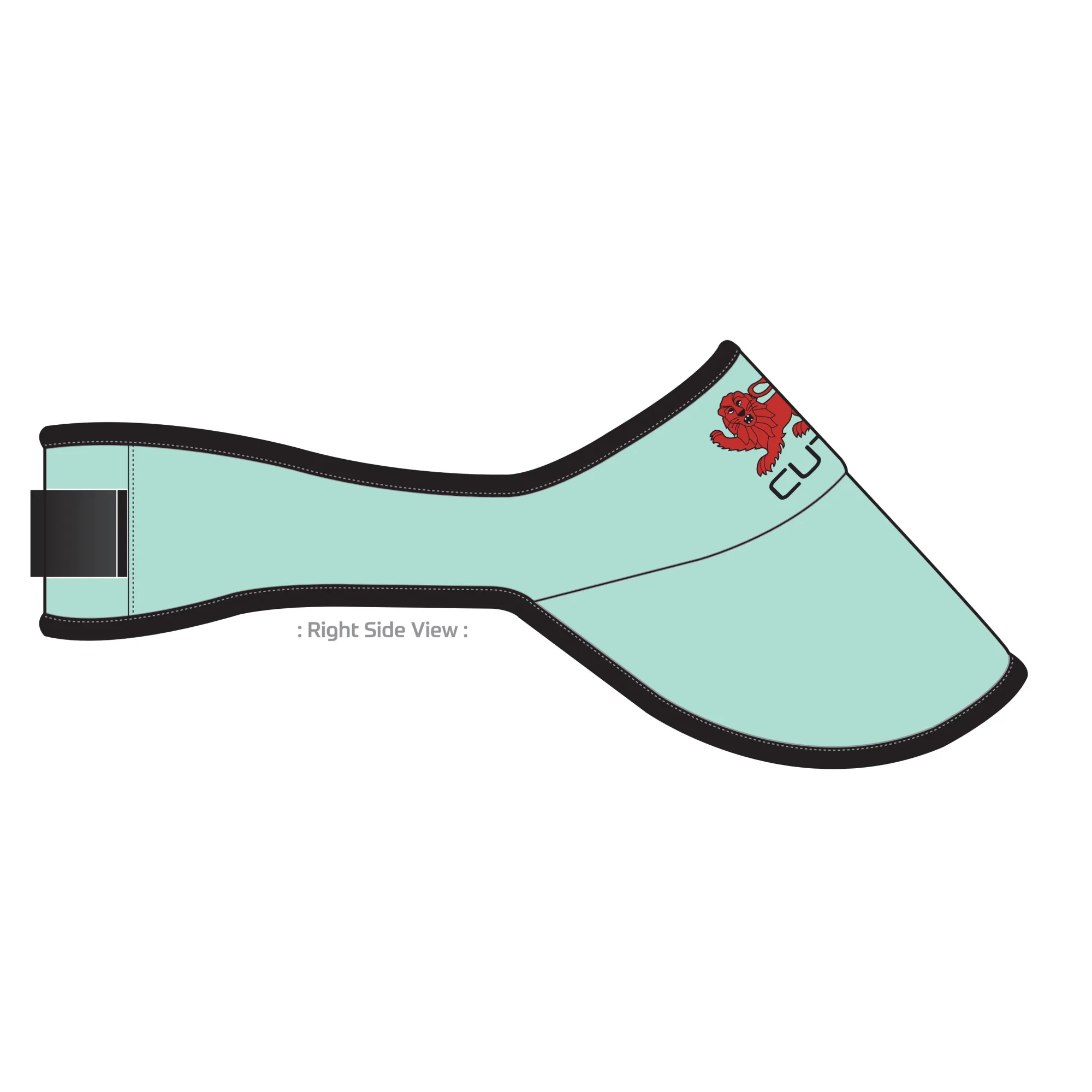 PERFORMANCE Visor
