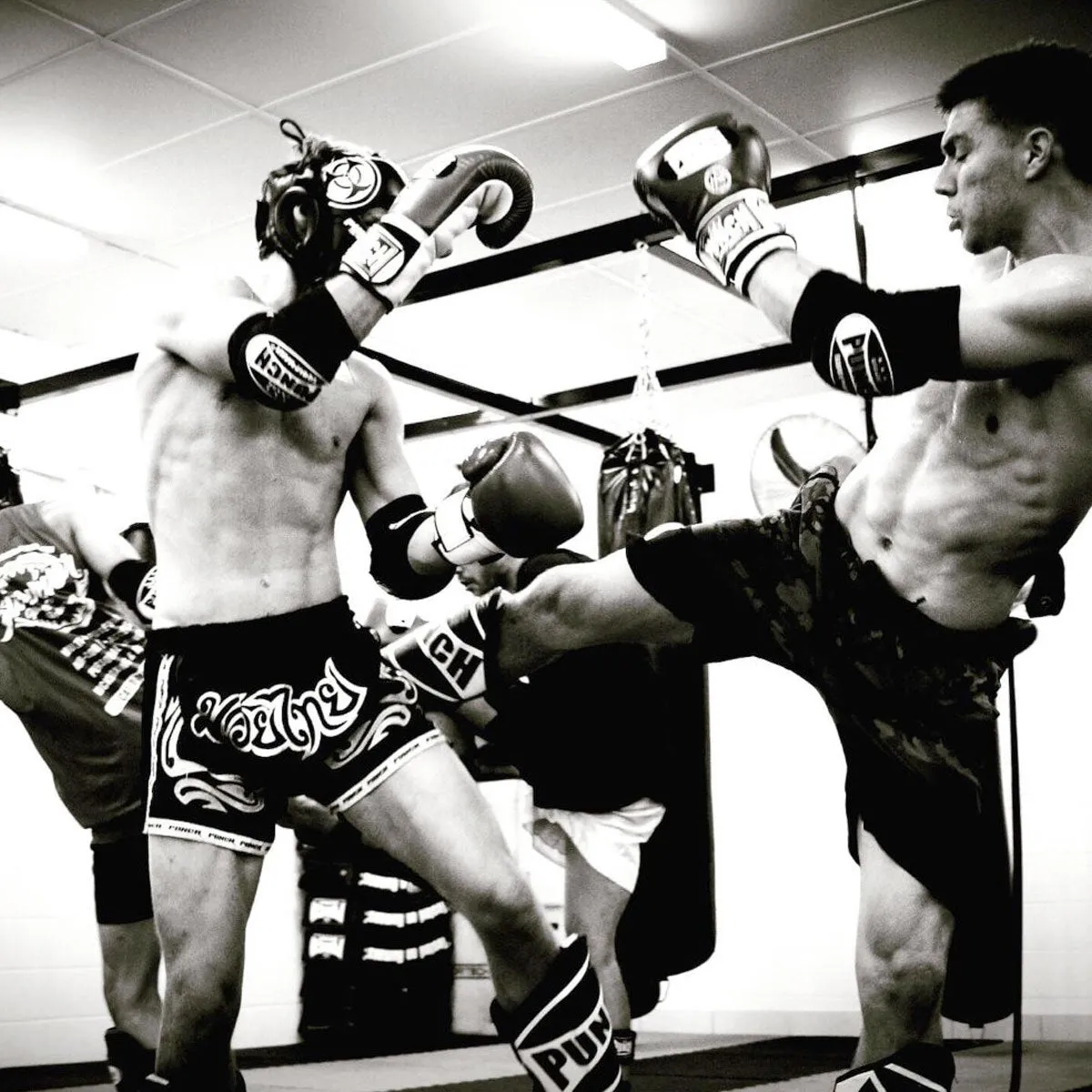 Punch Equipment Punch Muay Thai Elbow Pads