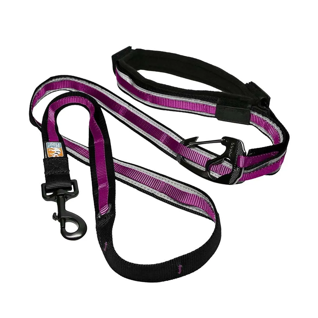 Quantum 6-in-1 Dog Lead