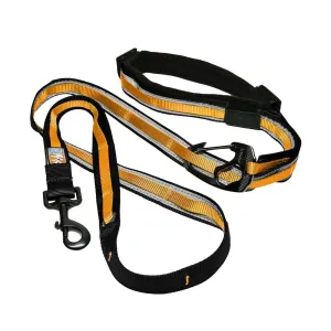 Quantum 6-in-1 Dog Lead