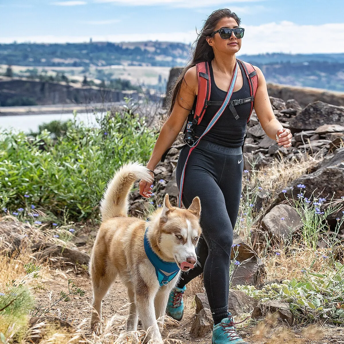 Quantum 6-in-1 Dog Lead
