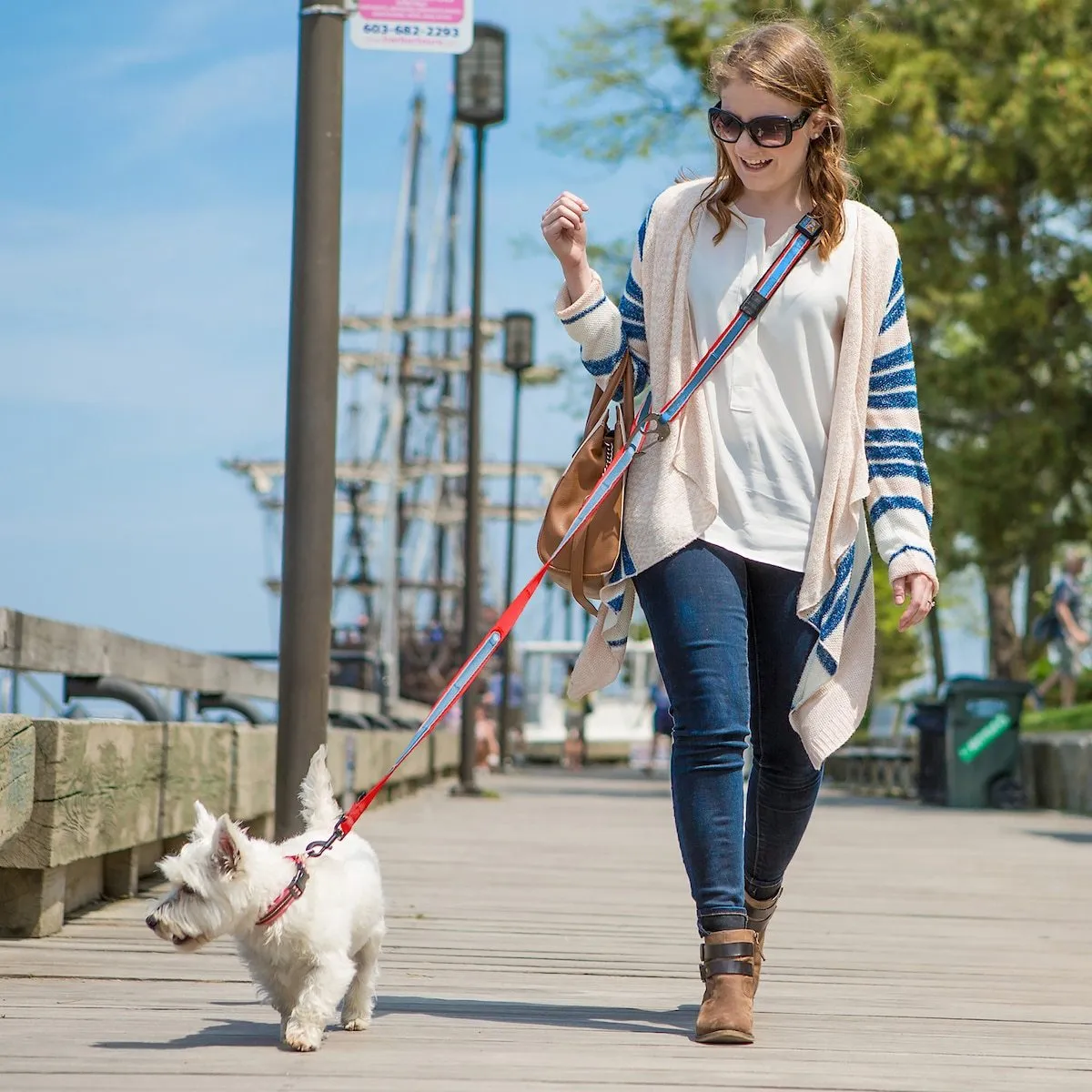 Quantum 6-in-1 Dog Lead