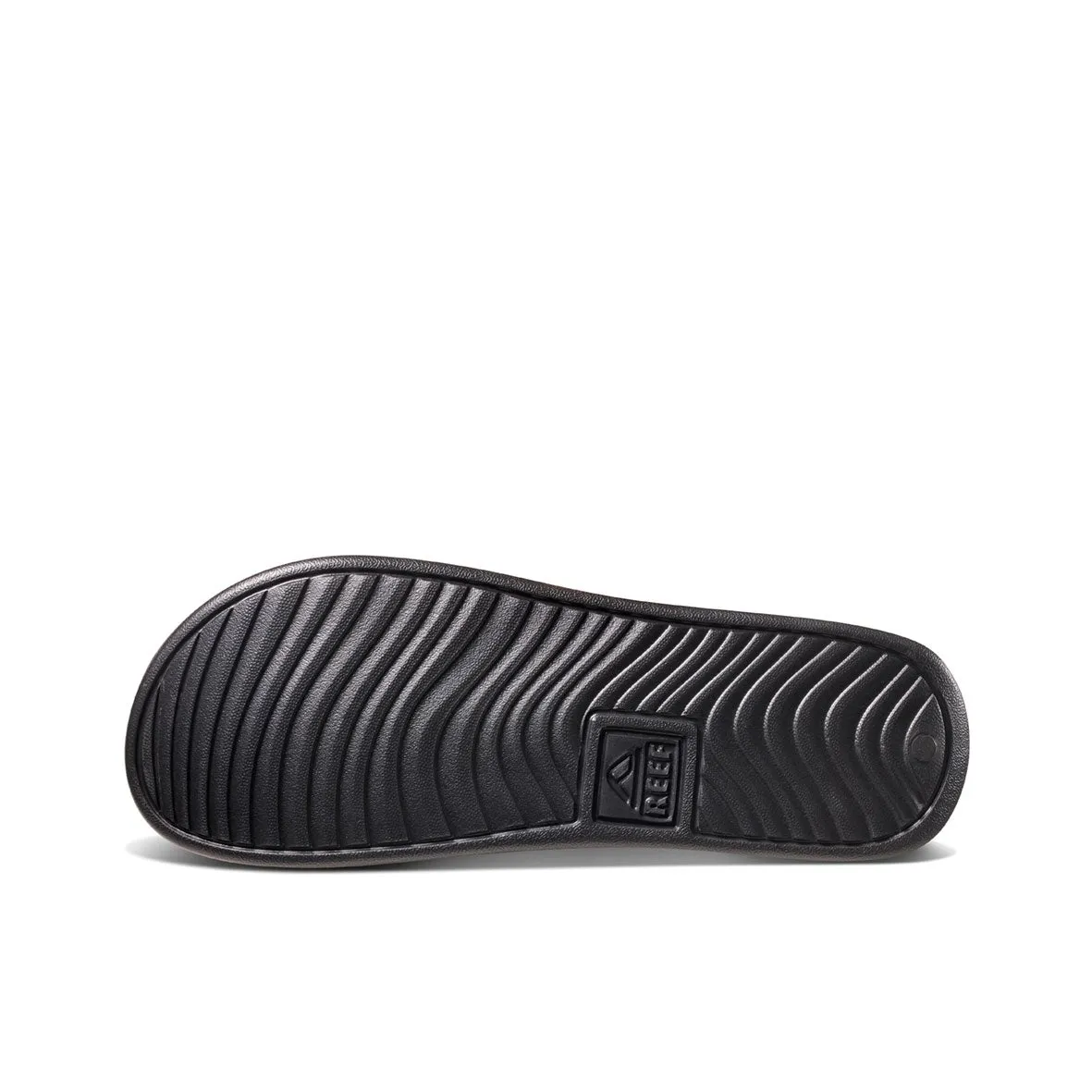 REEF One Slide