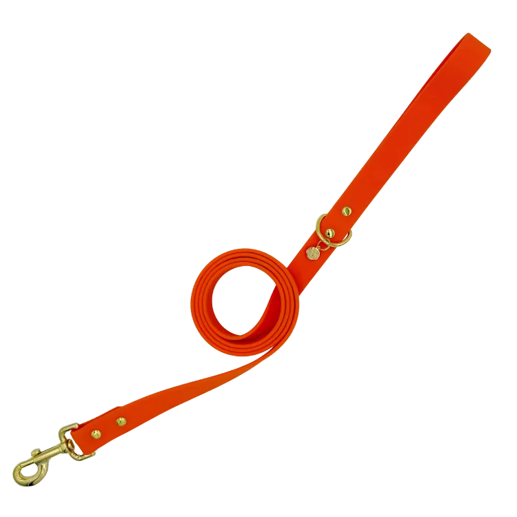 Sunburst - Splashproof Dog Leash