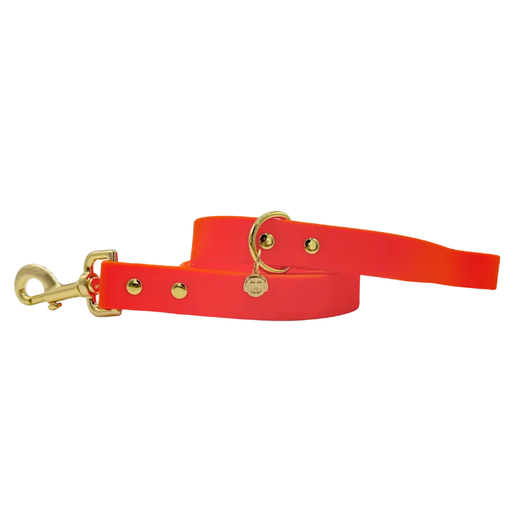 Sunburst - Splashproof Dog Leash