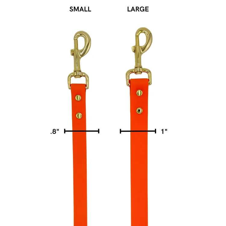 Sunburst - Splashproof Dog Leash