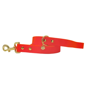 Sunburst - Splashproof Dog Leash