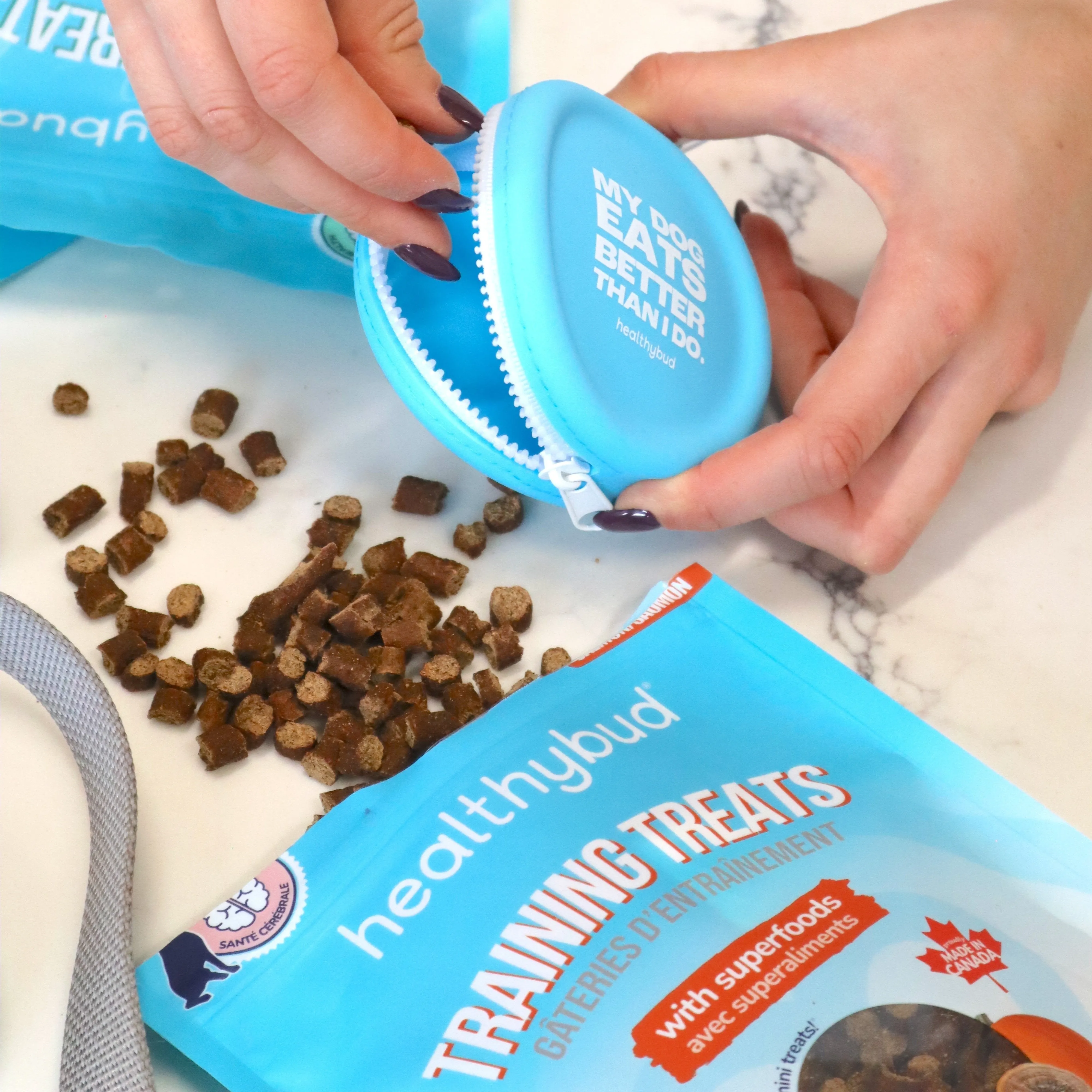 Training Treat Pouch