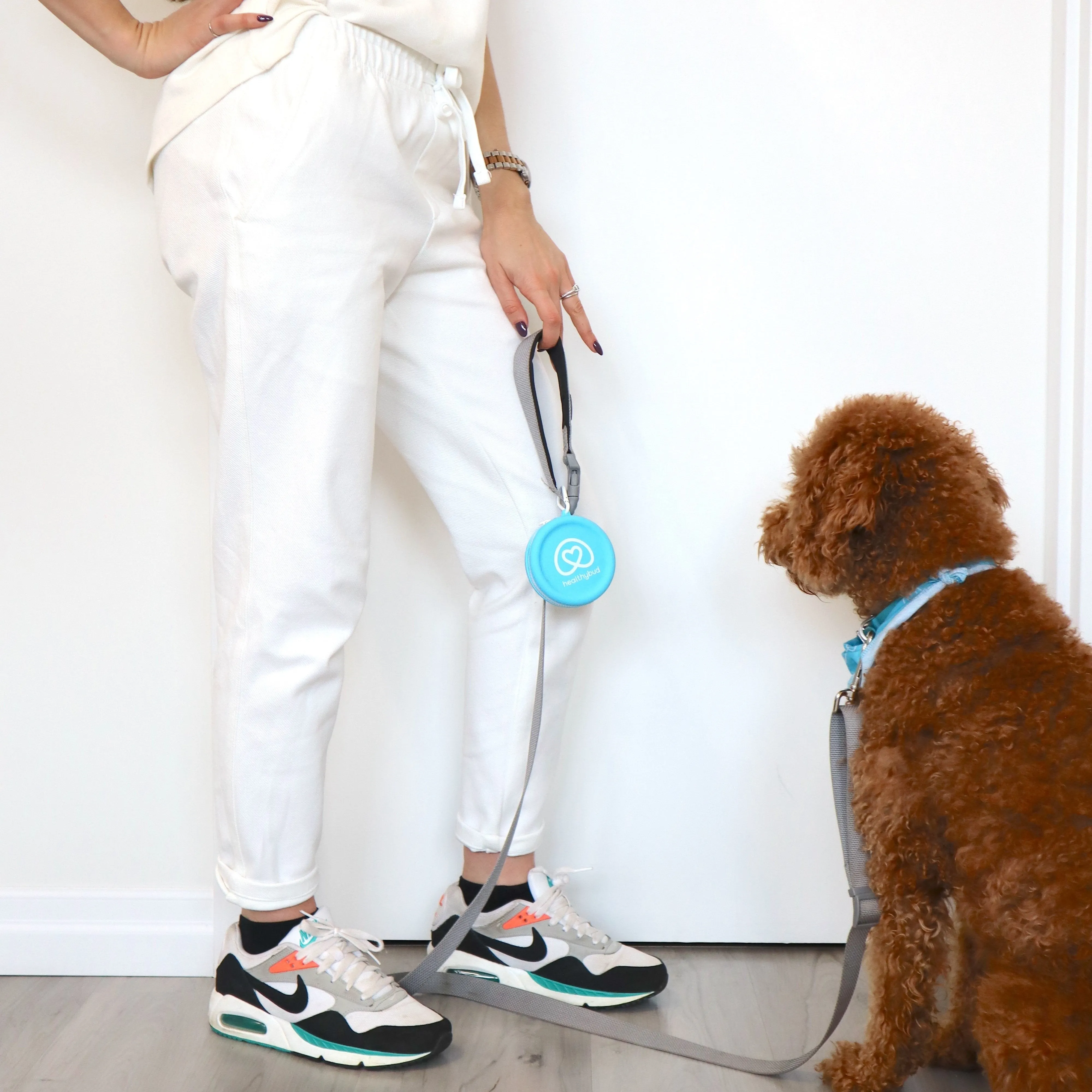 Training Treat Pouch